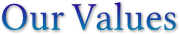 Our Values Our Values